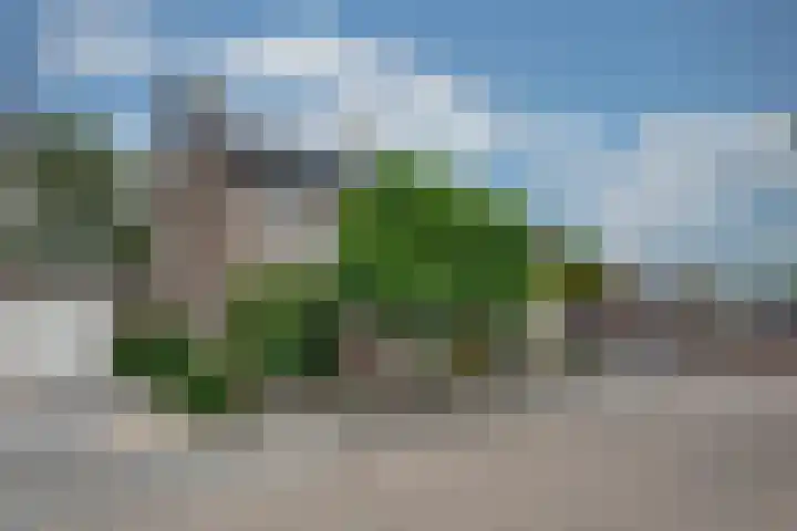 van der Zijpedreef 5 Rucphen thumbnail 5