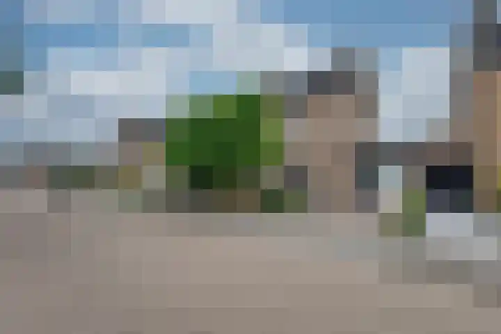 van der Zijpedreef 5 Rucphen thumbnail 6