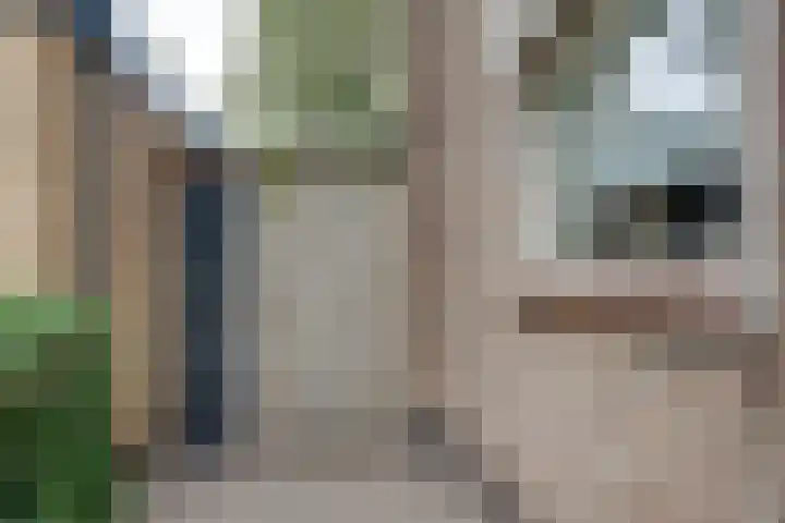 van der Zijpedreef 5 Rucphen thumbnail 8