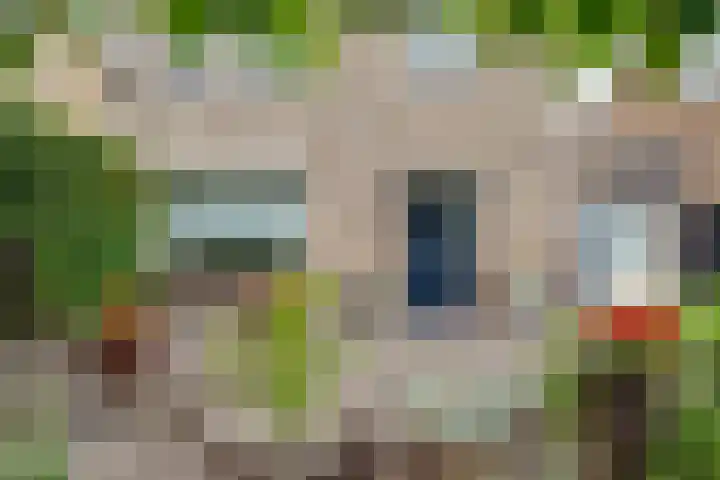 van der Zijpedreef 5 Rucphen thumbnail 9