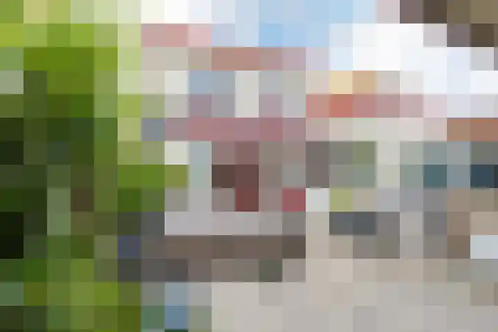 Van der Zwaagstraat 2 IJmuiden thumbnail 23