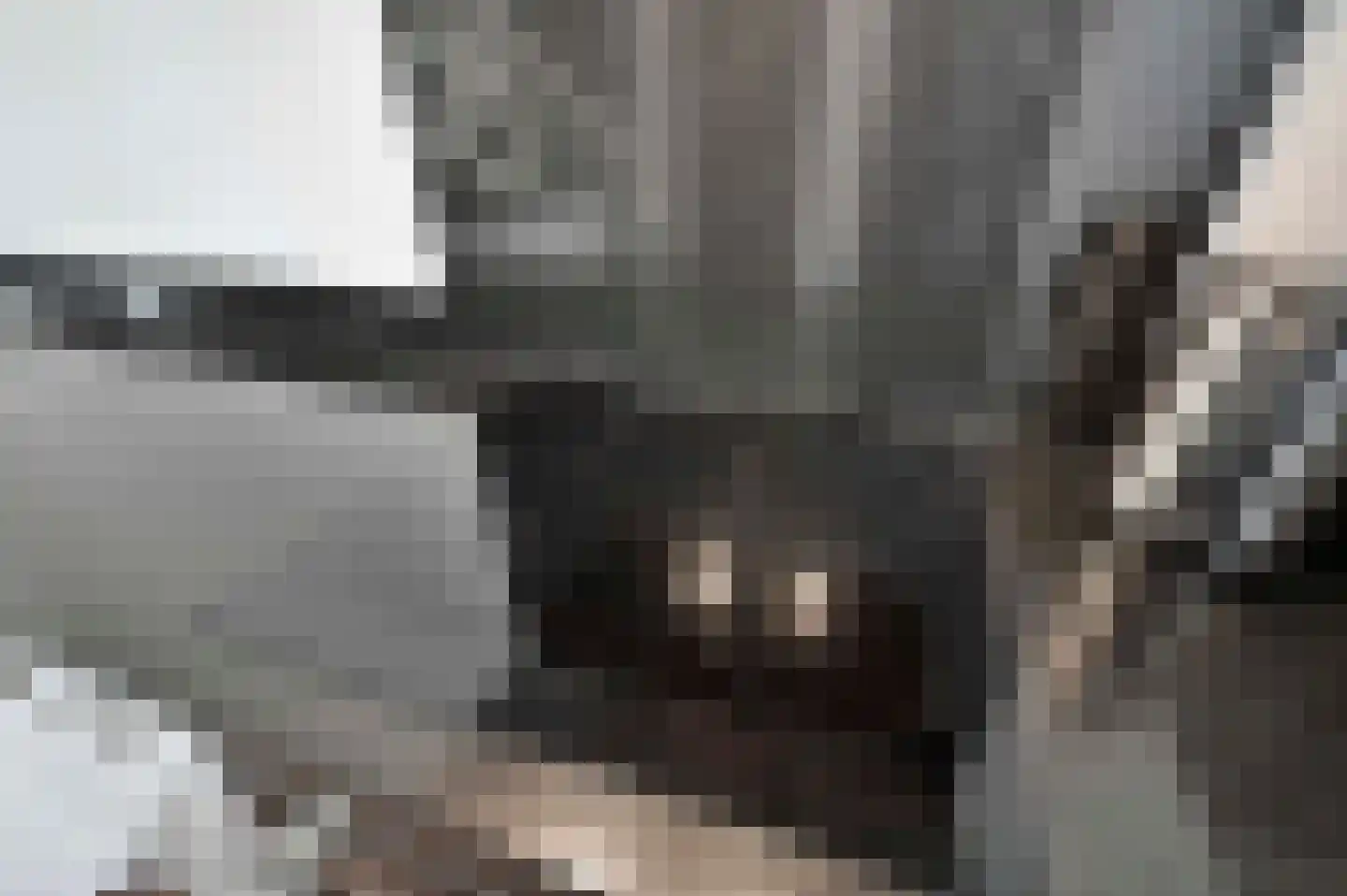 Van Deursenstraat 11 Naaldwijk thumbnail 11