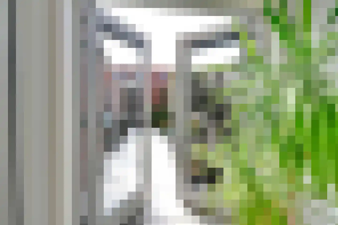 Van Deursenstraat 11 Naaldwijk thumbnail 15