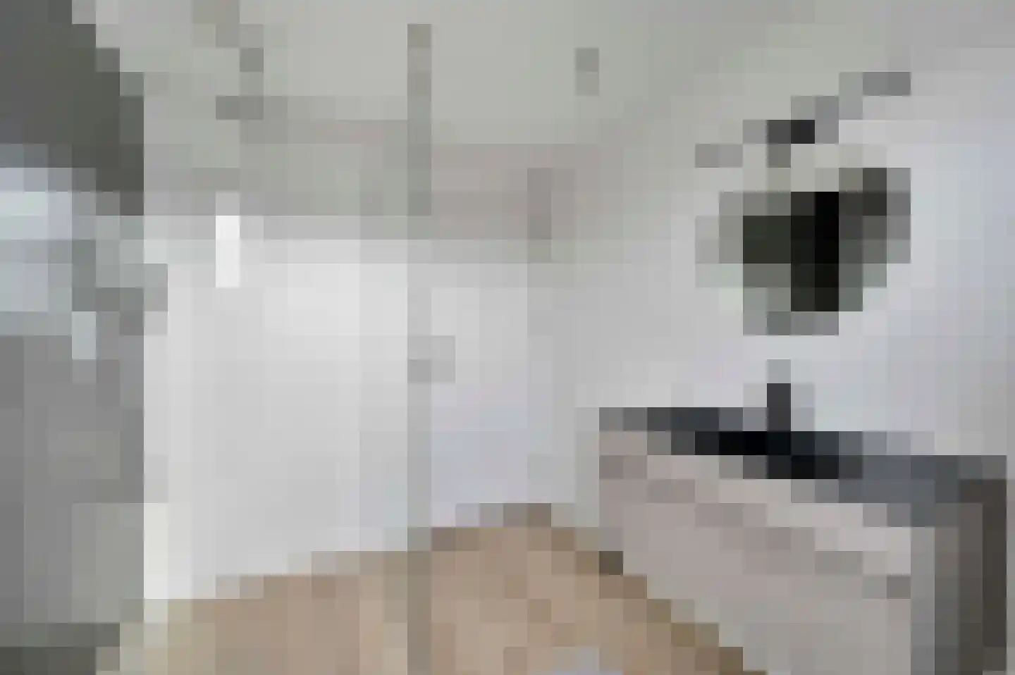 Van Deursenstraat 11 Naaldwijk thumbnail 23