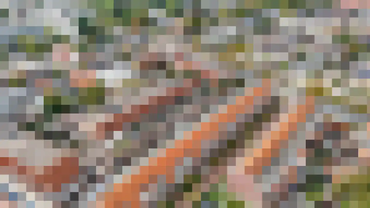 Van Deursenstraat 11 Naaldwijk thumbnail 32