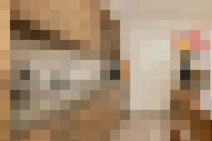 Van Deursenstraat 19 Naaldwijk thumbnail 14