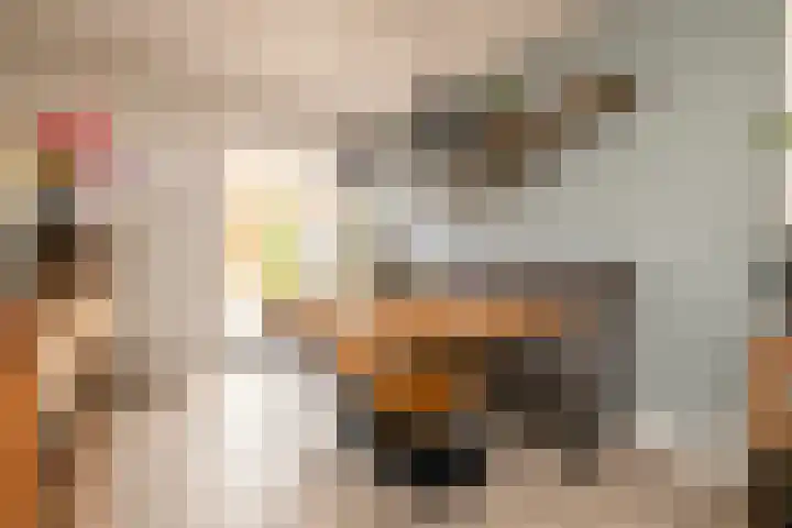 Van Deursenstraat 19 Naaldwijk thumbnail 15