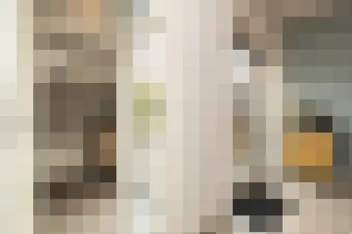 Van Deursenstraat 19 Naaldwijk thumbnail 16