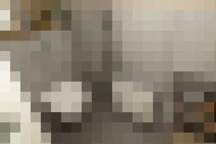 Van Deursenstraat 19 Naaldwijk thumbnail 17