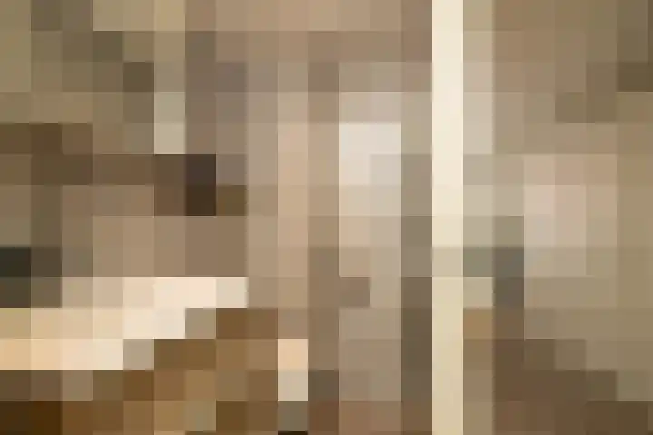 Van Deursenstraat 19 Naaldwijk thumbnail 23