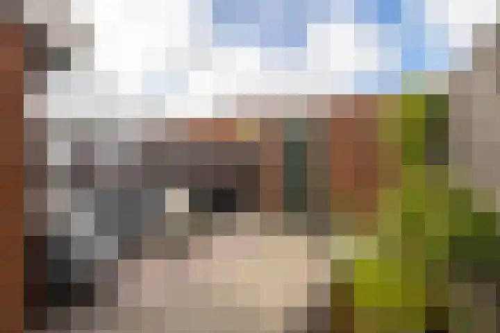 Van Deursenstraat 19 Naaldwijk thumbnail 28