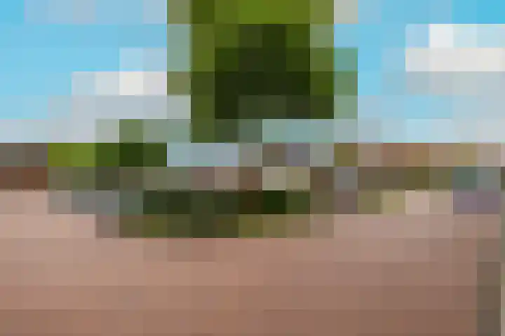 Van Deursenstraat 19 Naaldwijk thumbnail 35