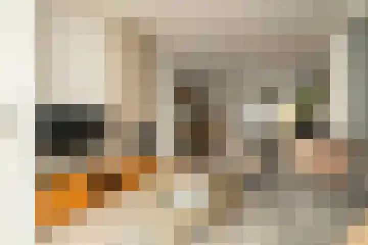 Van Deursenstraat 19 Naaldwijk thumbnail 7
