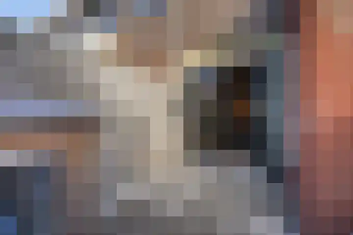 Van Deursenstraat 3 Naaldwijk thumbnail 18