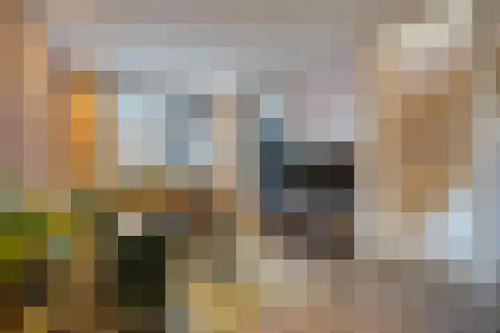 Van Deursenstraat 3 Naaldwijk thumbnail 21