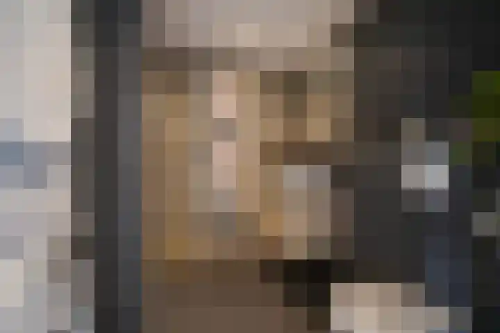 Van Deursenstraat 3 Naaldwijk thumbnail 32