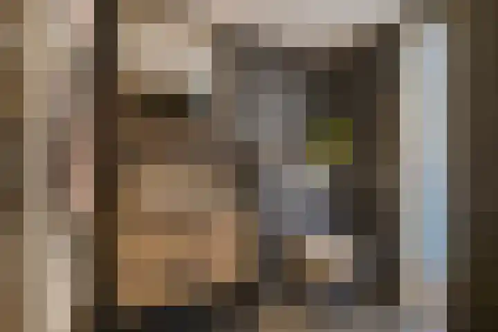 Van Deursenstraat 3 Naaldwijk thumbnail 35