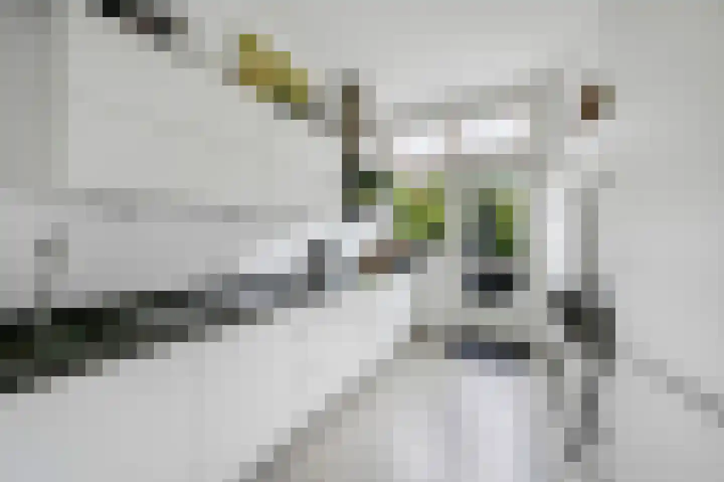 van Deventerlaan 34 Voorburg thumbnail 23