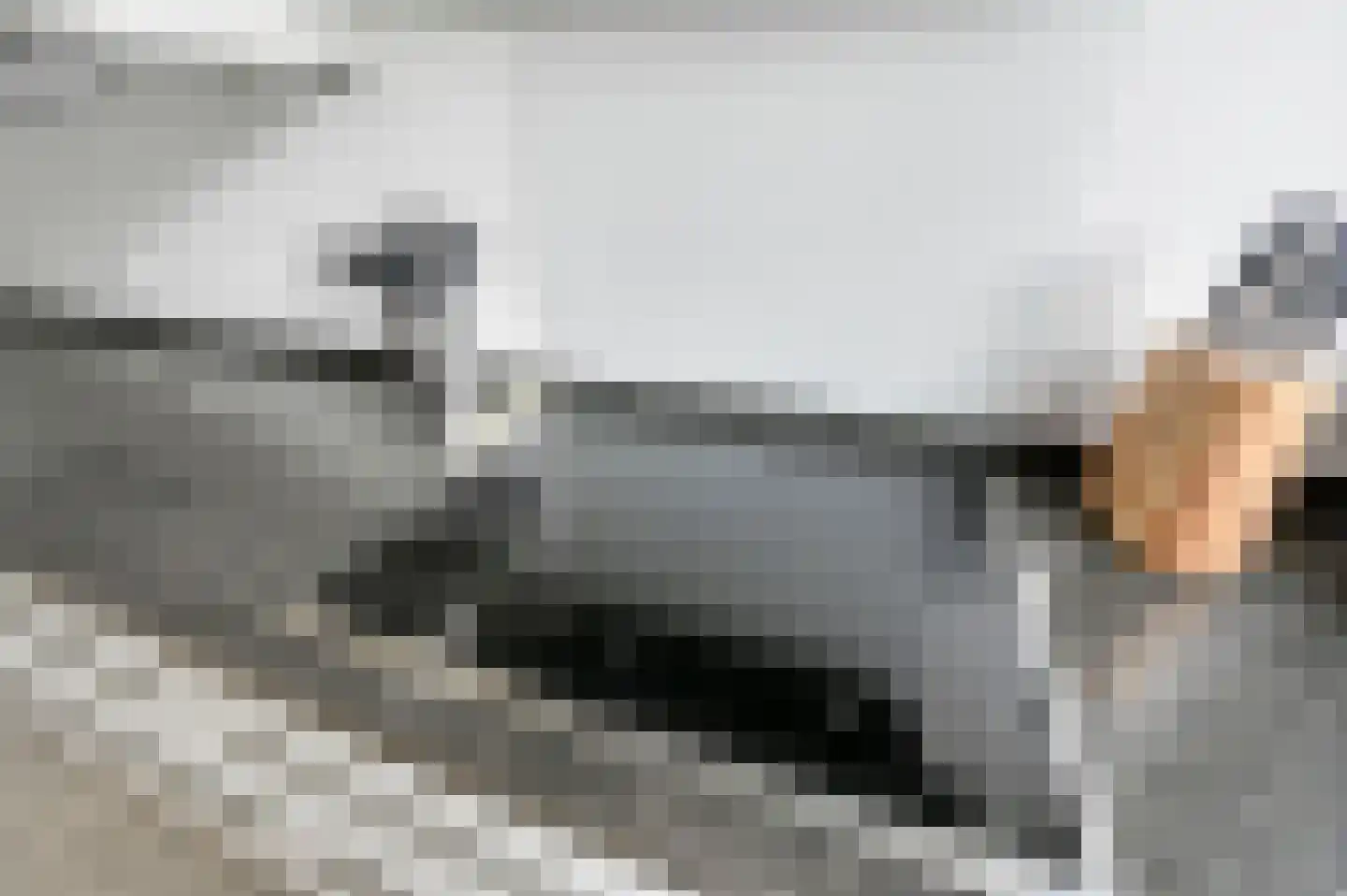 van Deventerlaan 34 Voorburg thumbnail 25