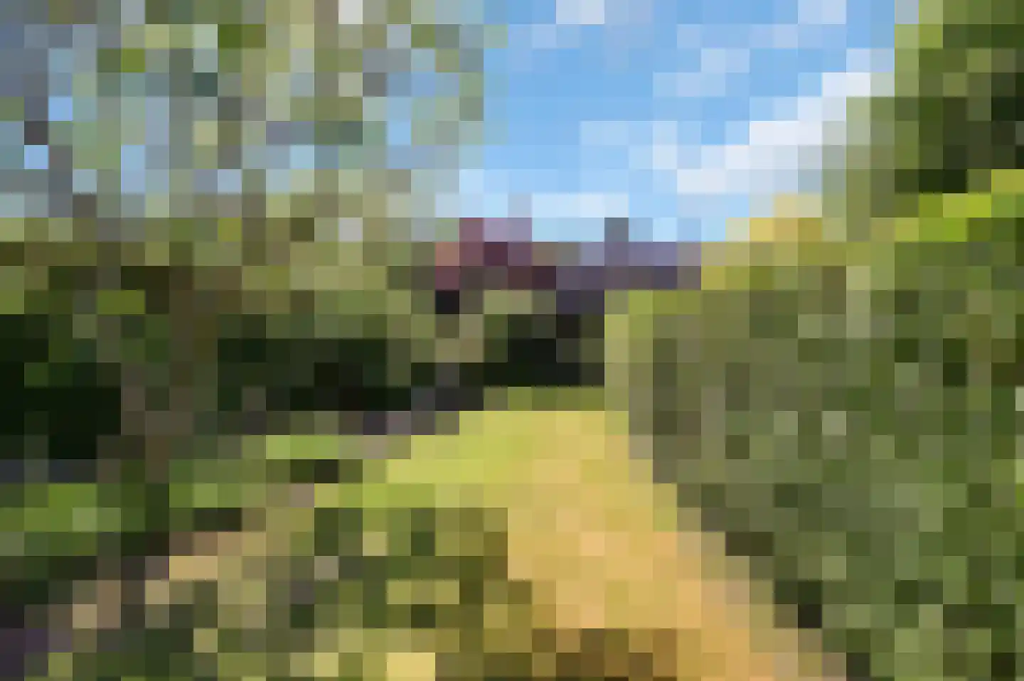van Deventerlaan 34 Voorburg thumbnail 29