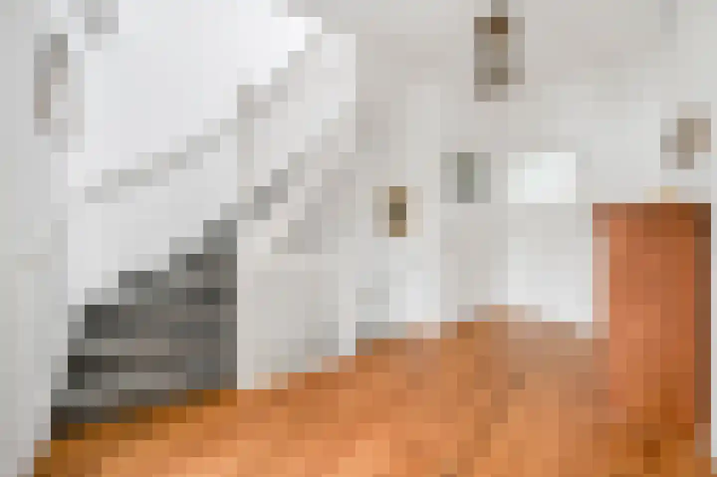 van Deventerlaan 34 Voorburg thumbnail 35