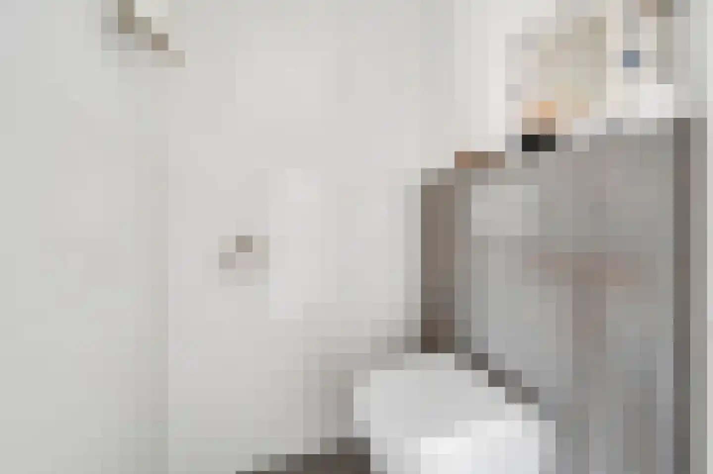 van Deventerlaan 34 Voorburg thumbnail 37