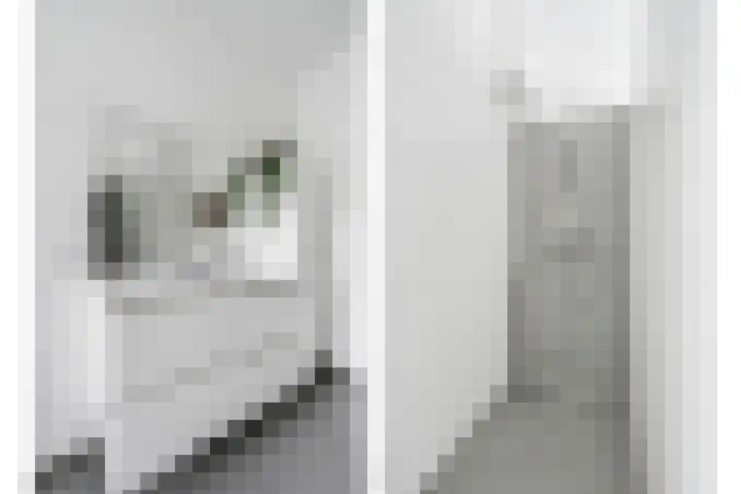 van Deventerlaan 34 Voorburg thumbnail 47
