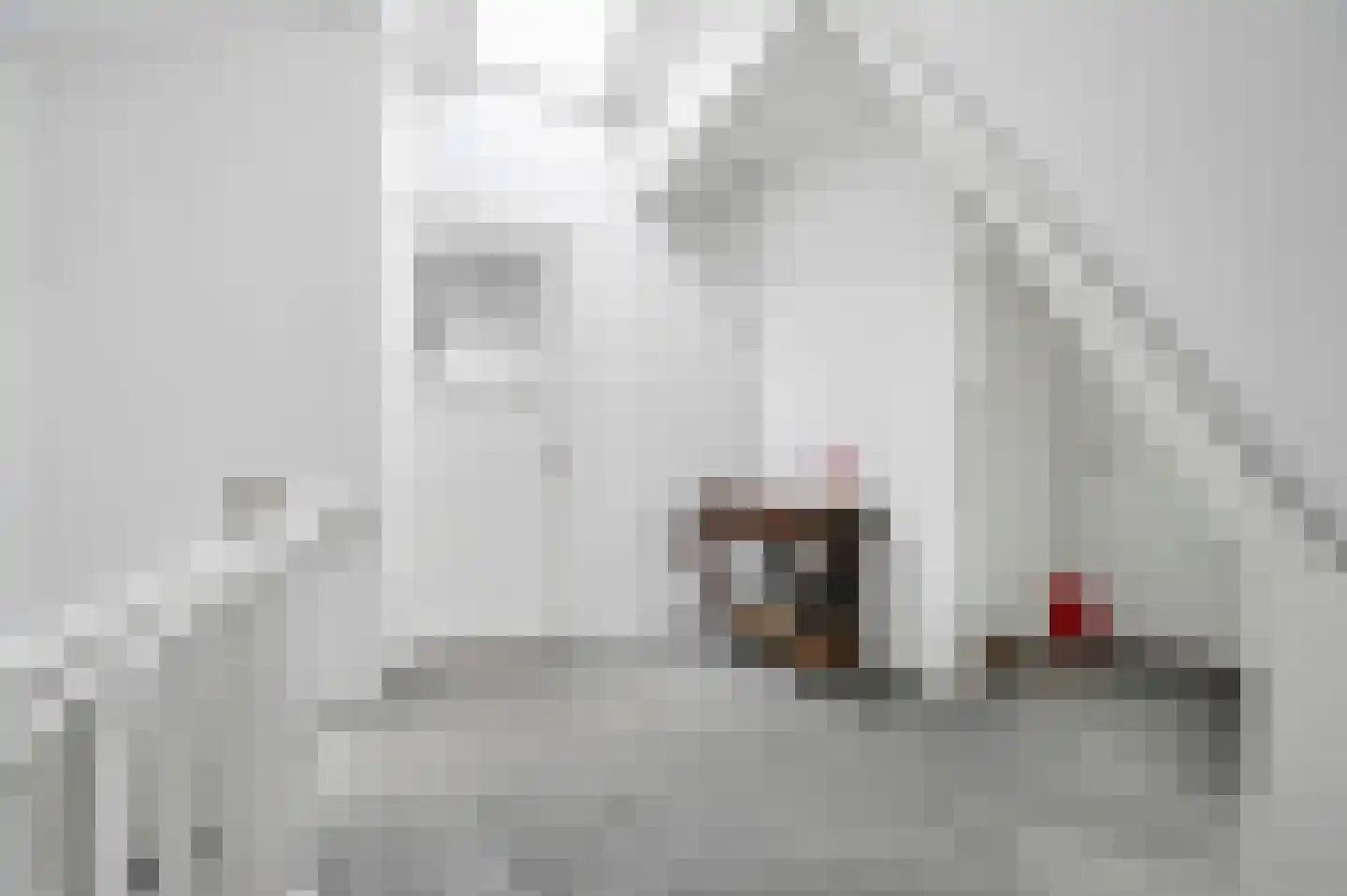 van Deventerlaan 34 Voorburg thumbnail 56