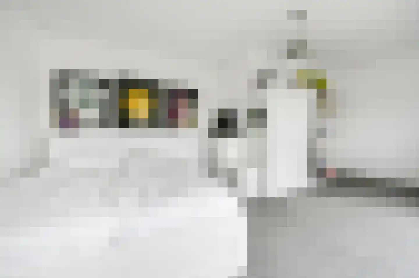 van Deventerlaan 34 Voorburg thumbnail 58