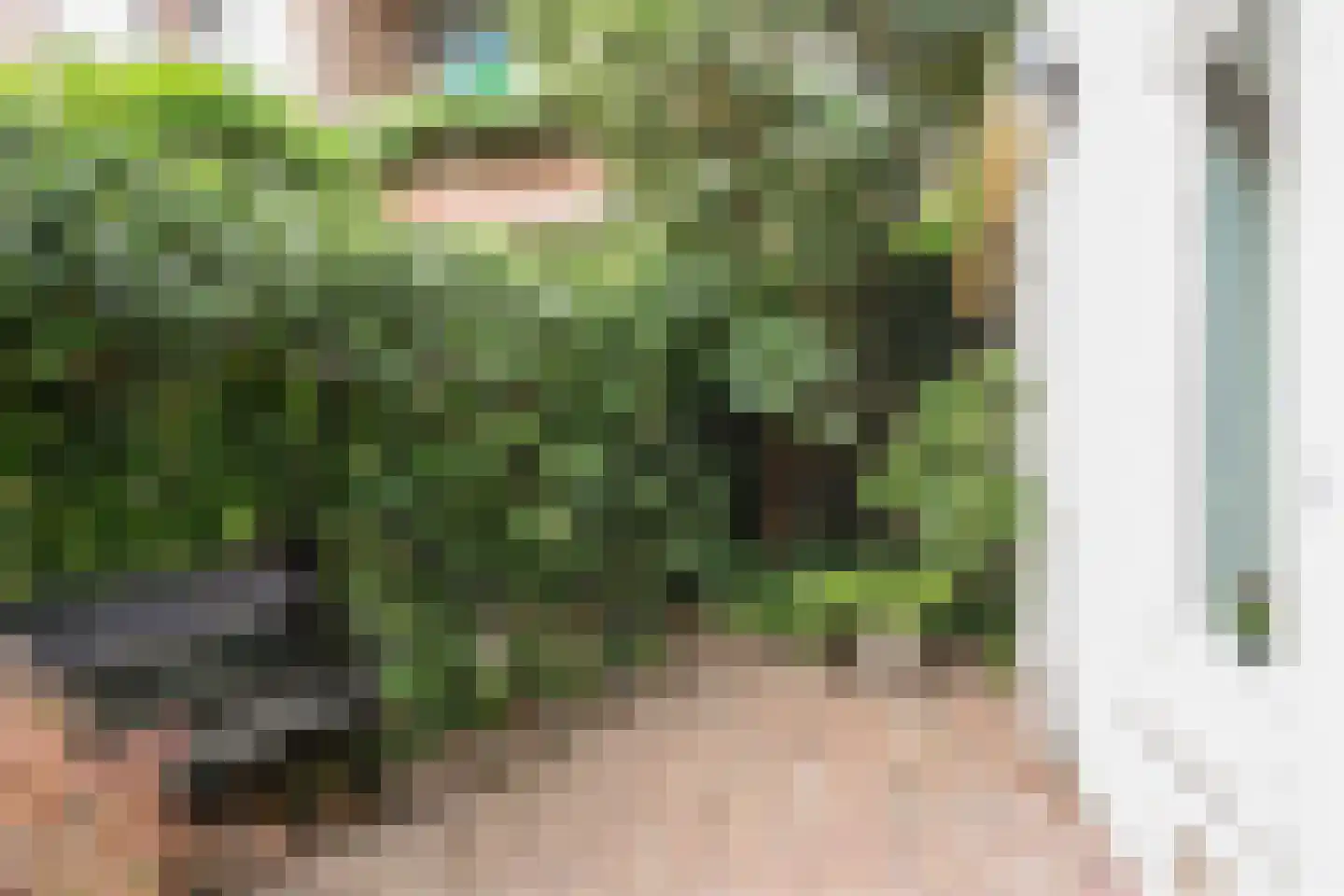 van Deventerplein 3 Voorburg thumbnail 14