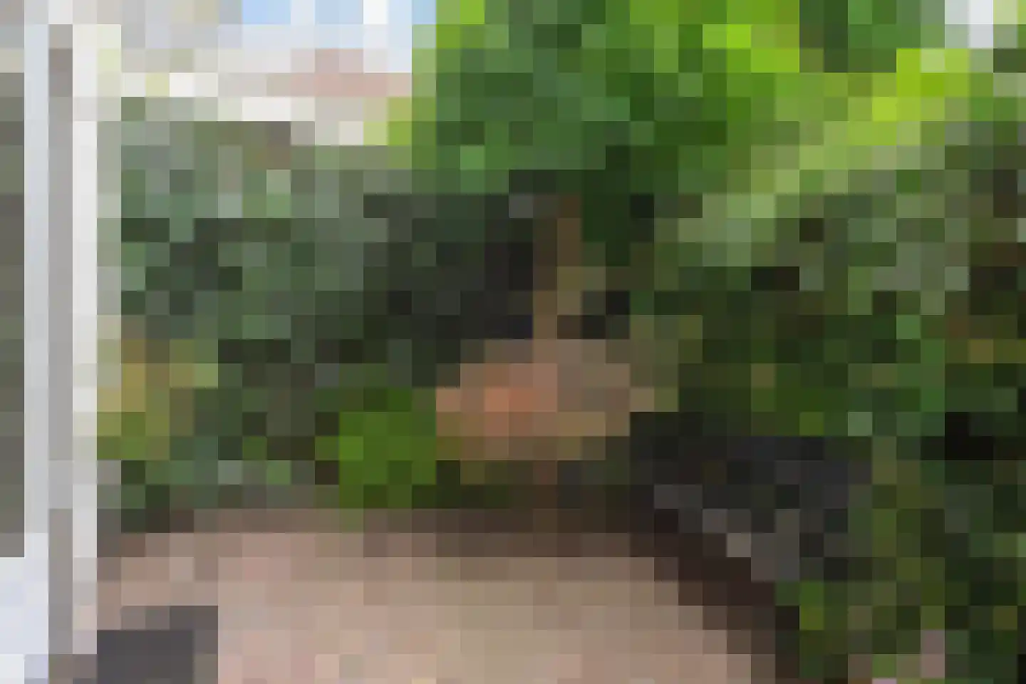 van Deventerplein 3 Voorburg thumbnail 15