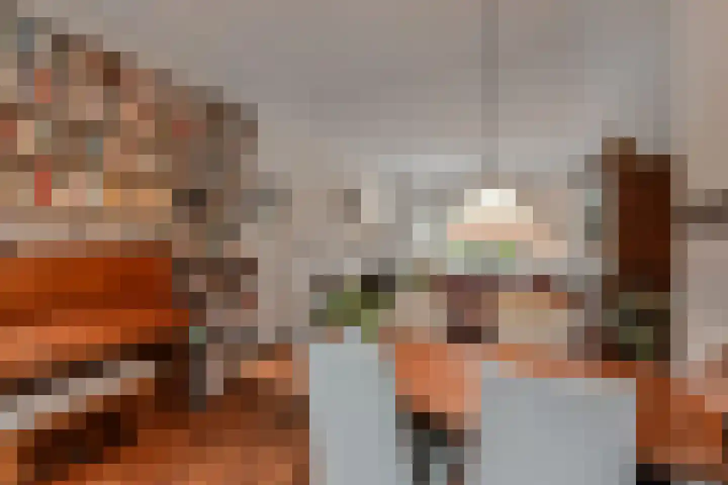 van Deventerplein 3 Voorburg thumbnail 17