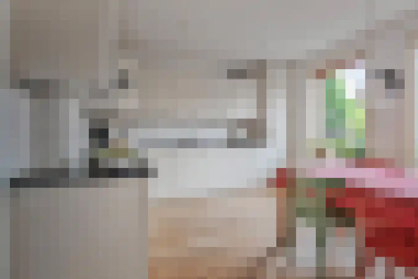 van Deventerplein 3 Voorburg thumbnail 18