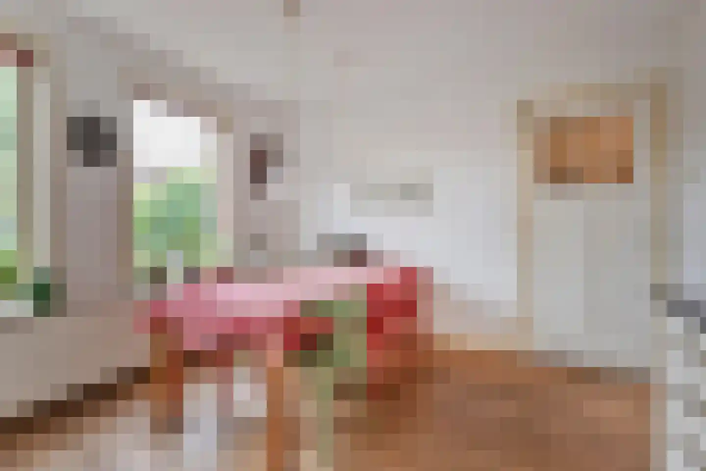 van Deventerplein 3 Voorburg thumbnail 19