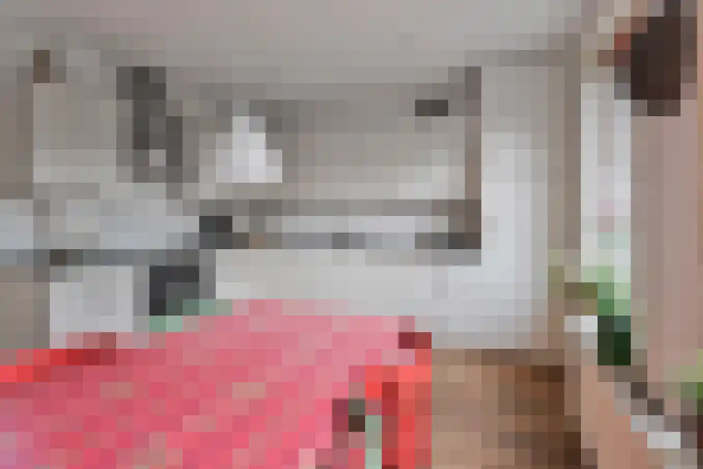 van Deventerplein 3 Voorburg thumbnail 20