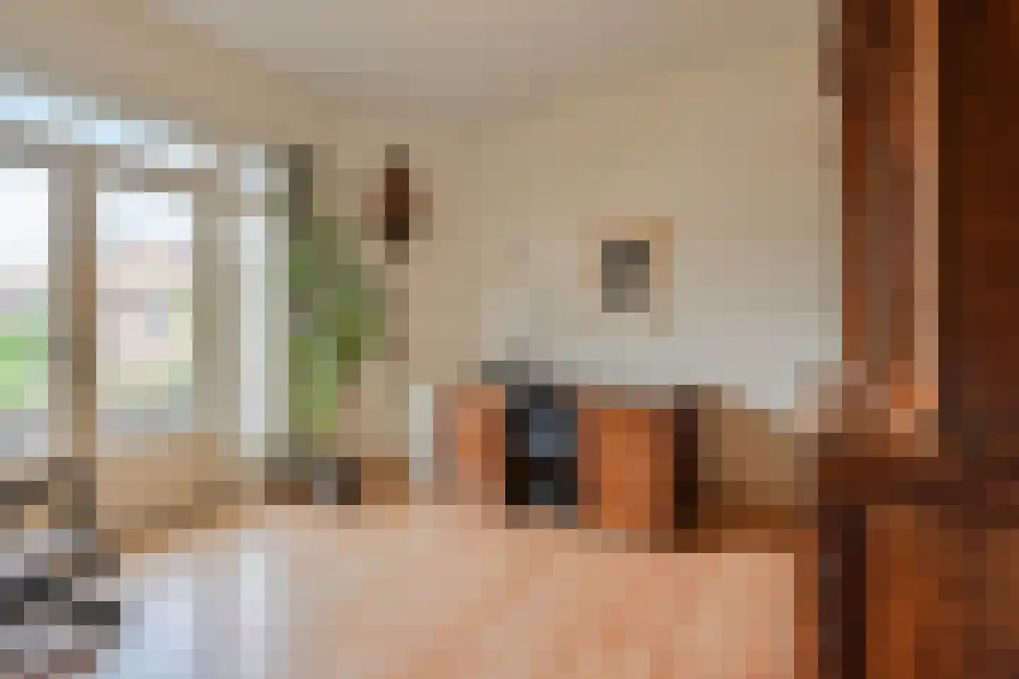 van Deventerplein 3 Voorburg thumbnail 31