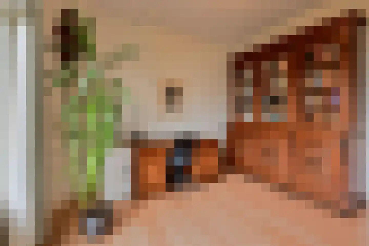 van Deventerplein 3 Voorburg thumbnail 32