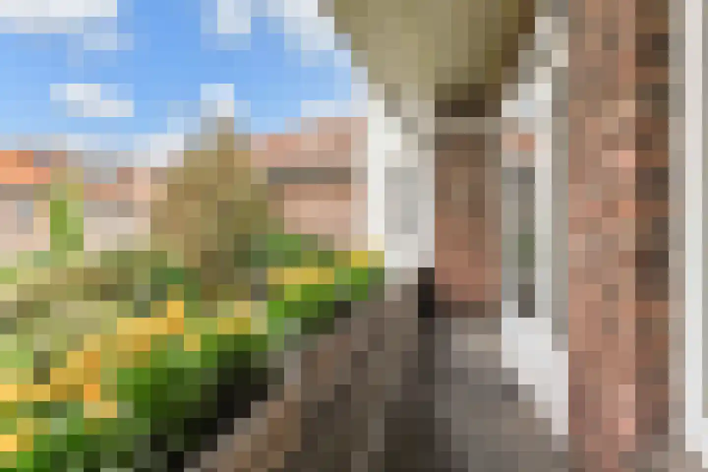 van Deventerplein 3 Voorburg thumbnail 36