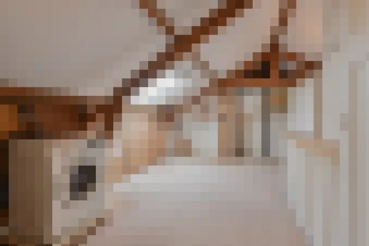 van Deventerplein 3 Voorburg thumbnail 41