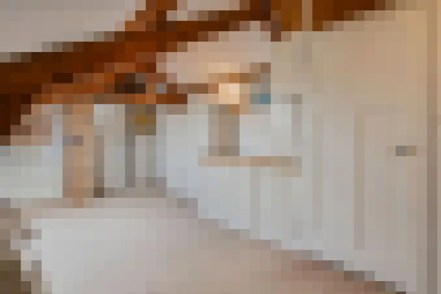 van Deventerplein 3 Voorburg thumbnail 42