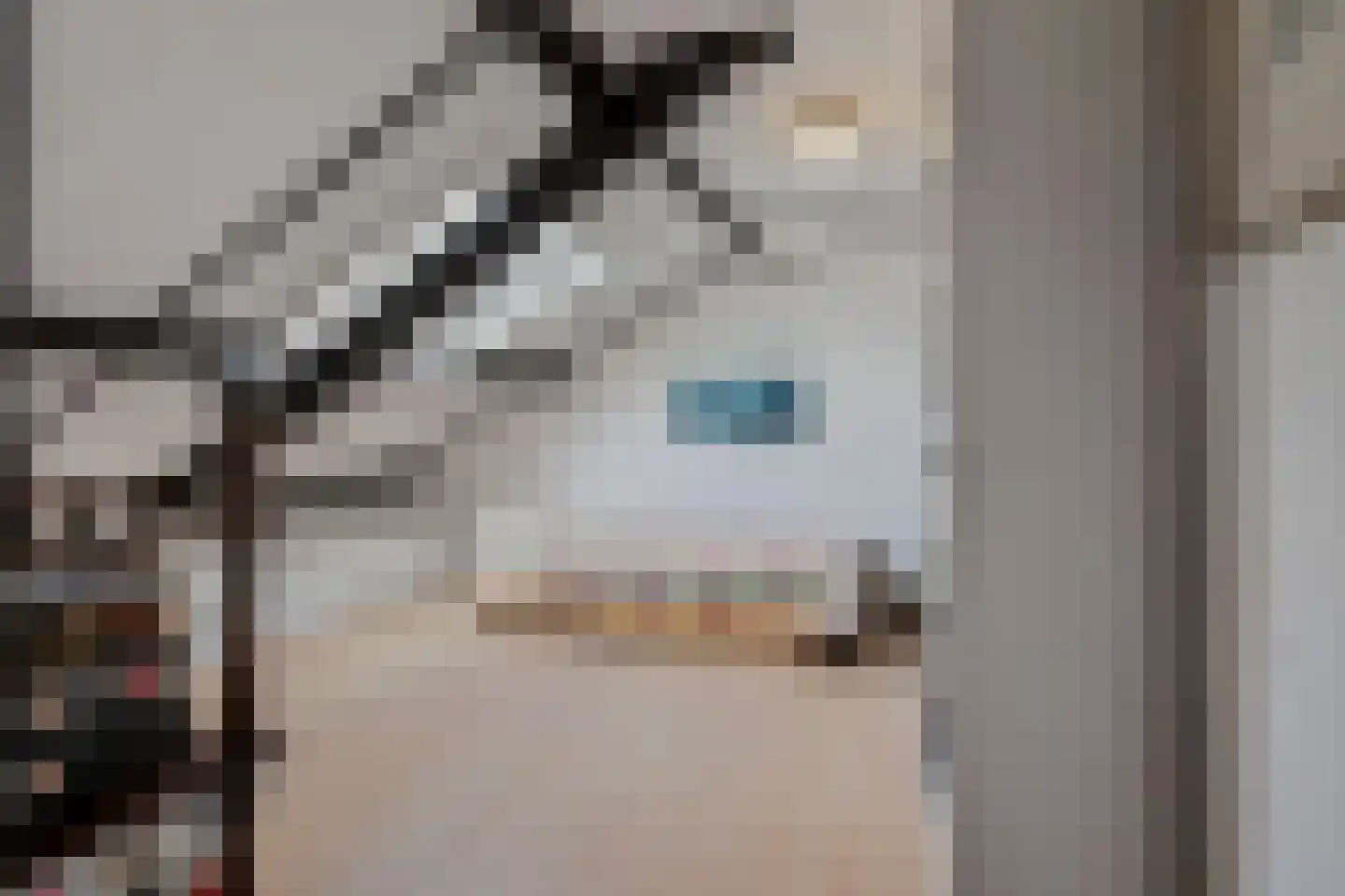 van Deventerplein 3 Voorburg thumbnail 44