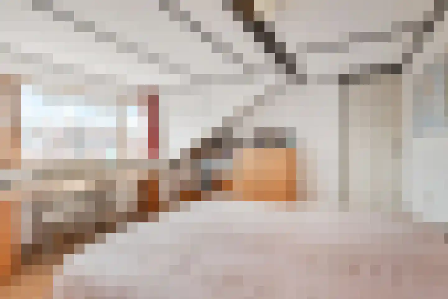 van Deventerplein 3 Voorburg thumbnail 46