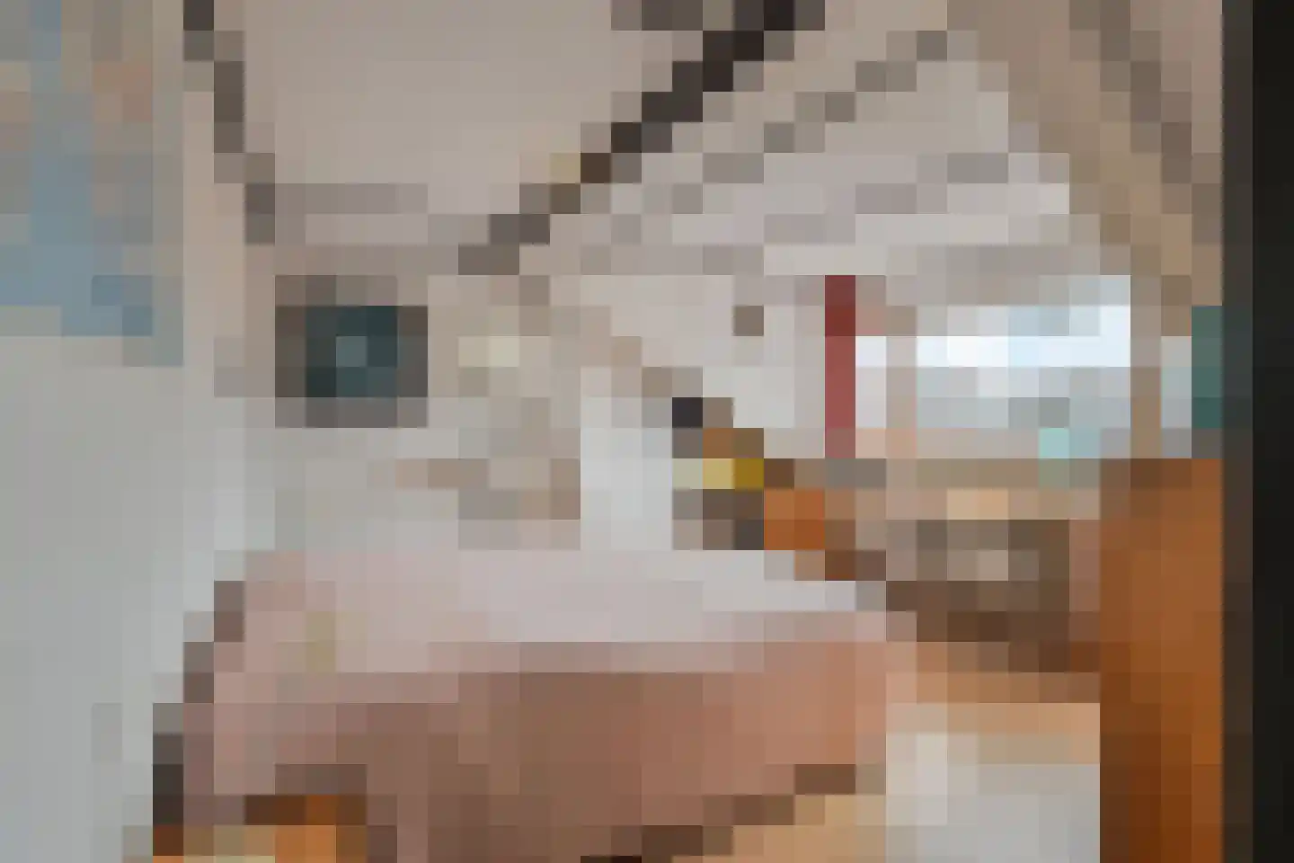 van Deventerplein 3 Voorburg thumbnail 47