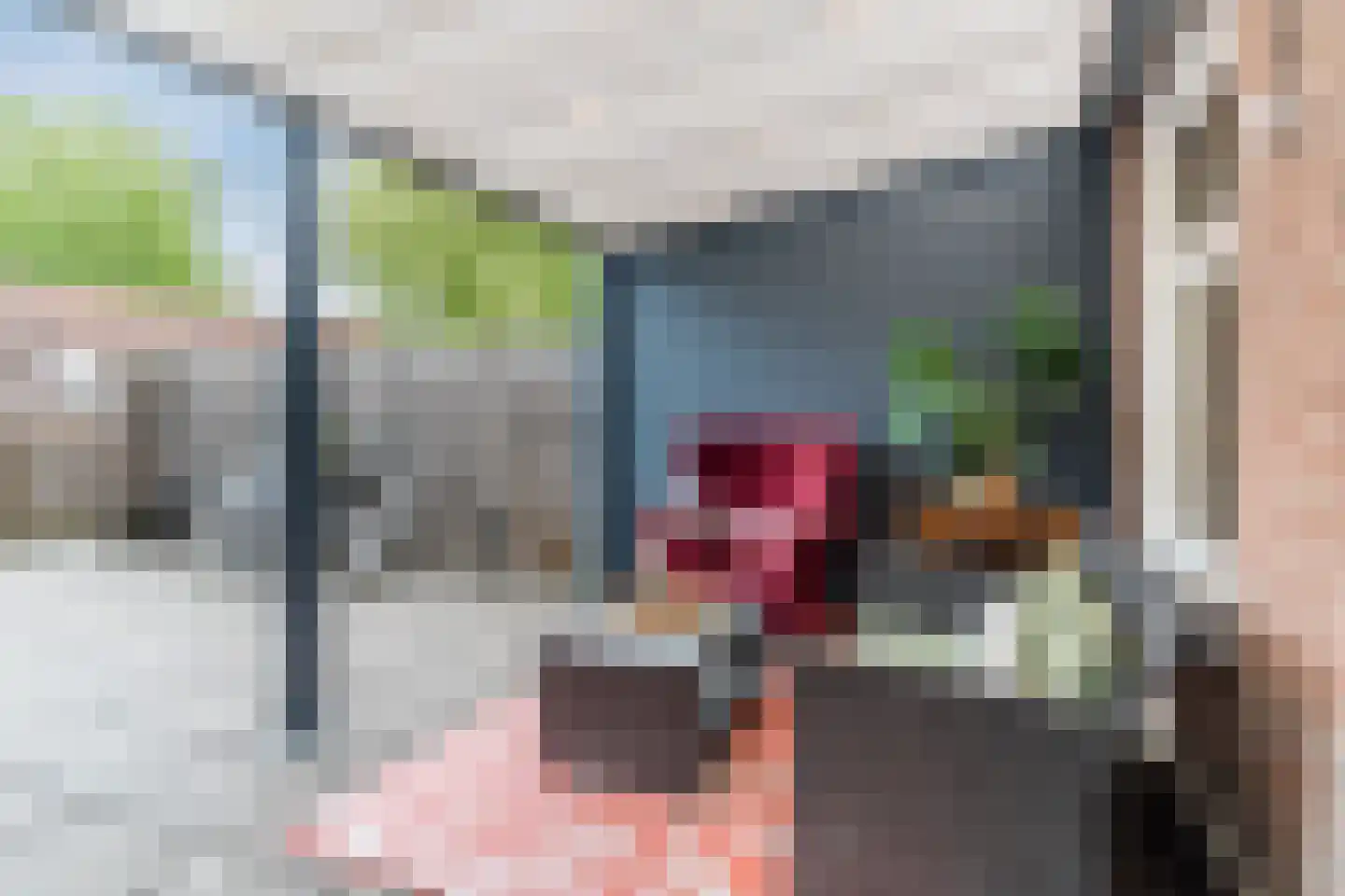 Van Deventerstraat 10 A Rhenen thumbnail 19