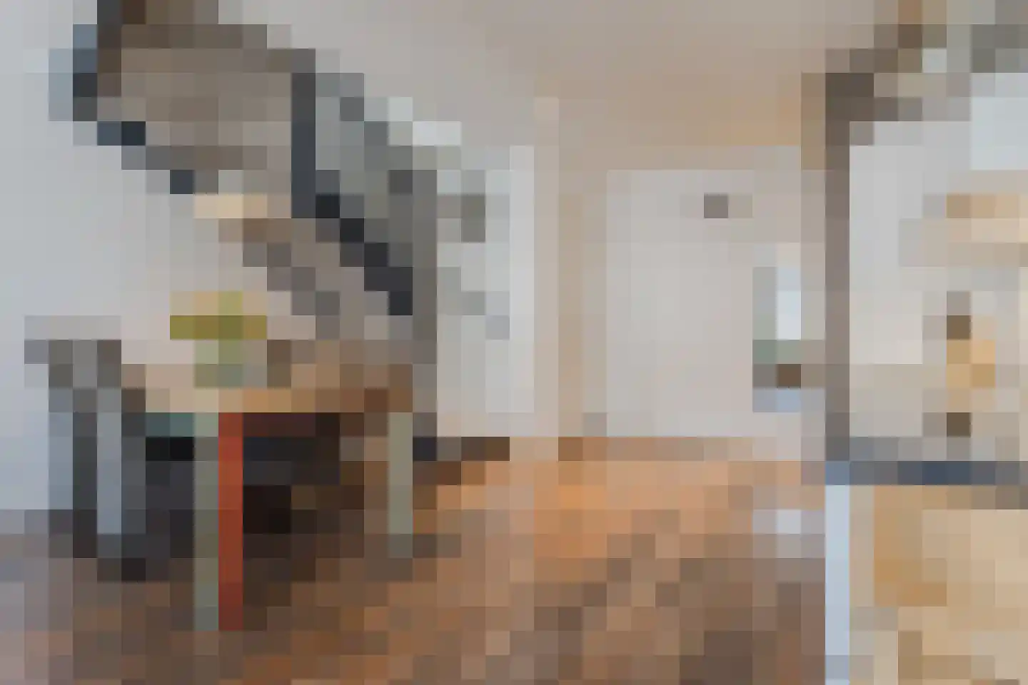 Van Deventerstraat 10 C Rhenen thumbnail 8
