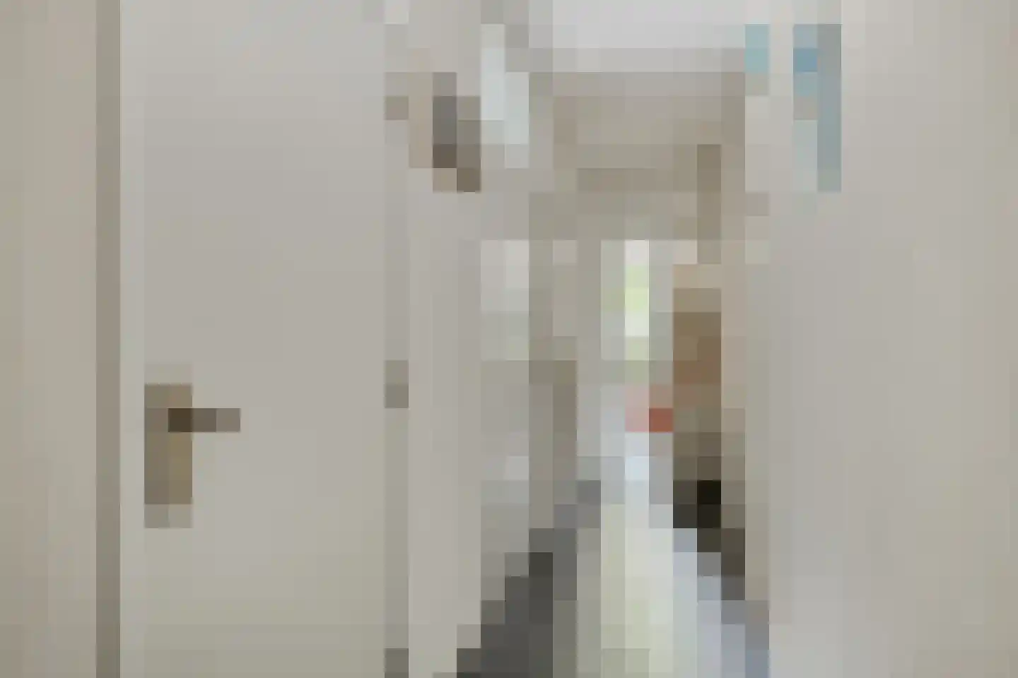 Van Deventerstraat 12 Oss thumbnail 10