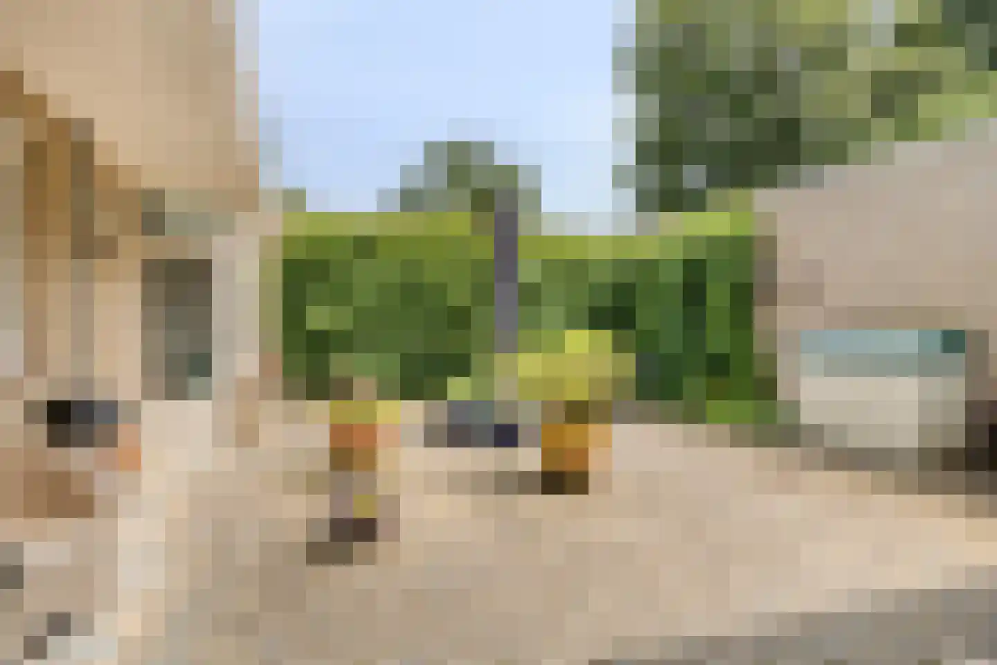 Van Deventerstraat 12 Oss thumbnail 19