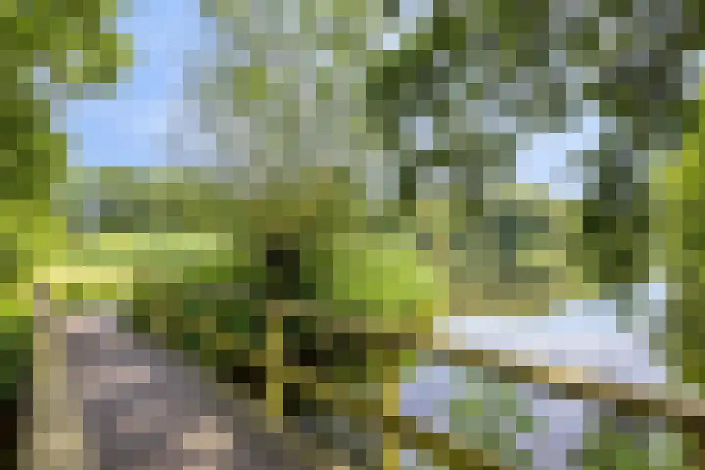 Van Deventerstraat 12 Oss thumbnail 23