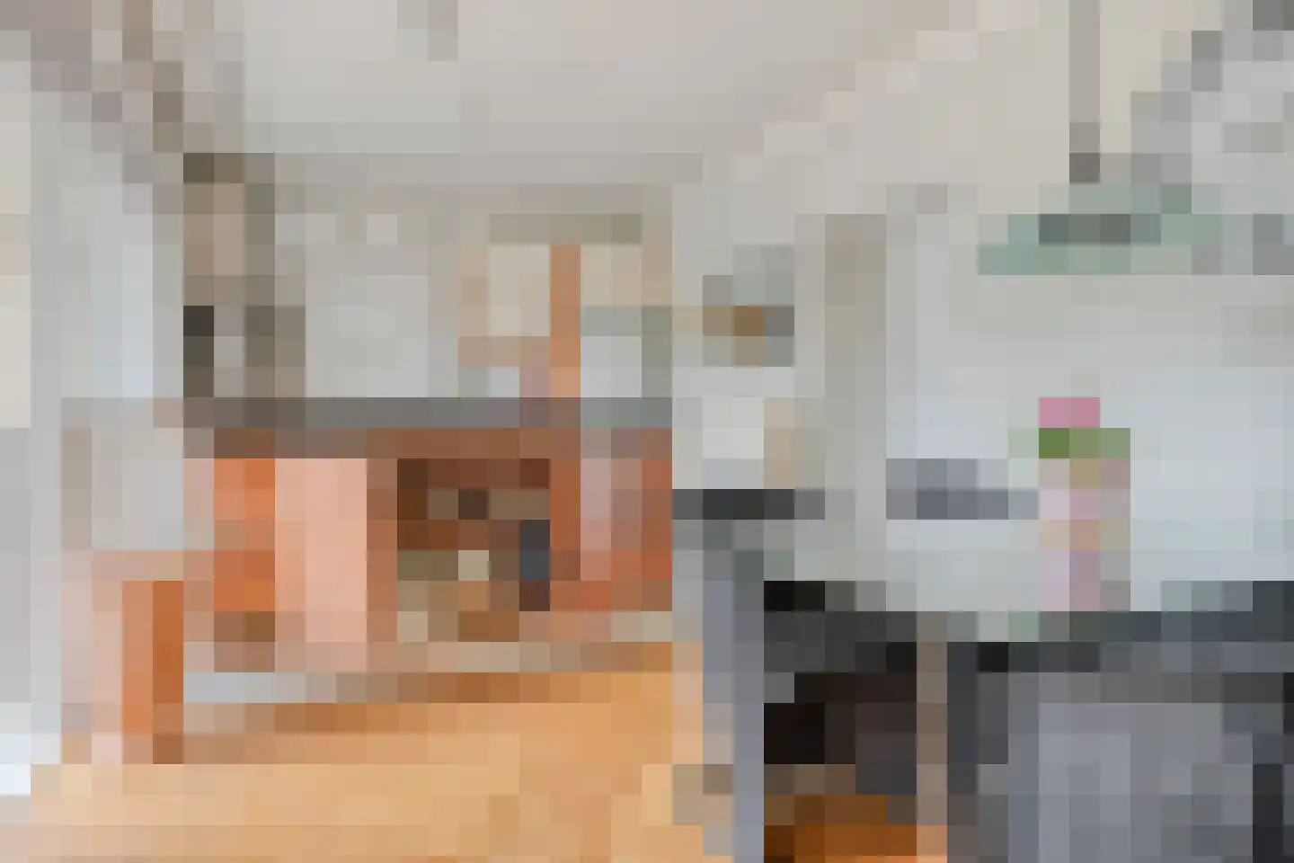 Van Deventerstraat 12 Oss thumbnail 6