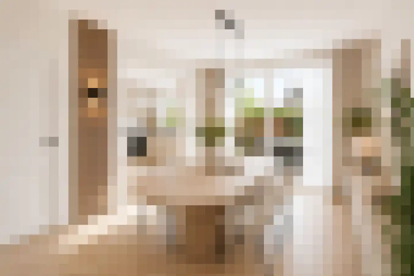 Van Deventerstraat 16 Haarlem thumbnail 9